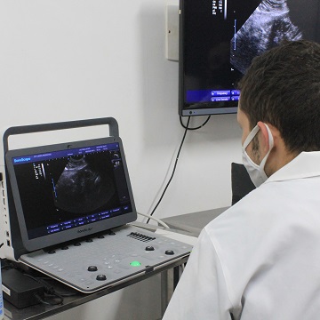 Ultrassonografia veterinária intervencionista