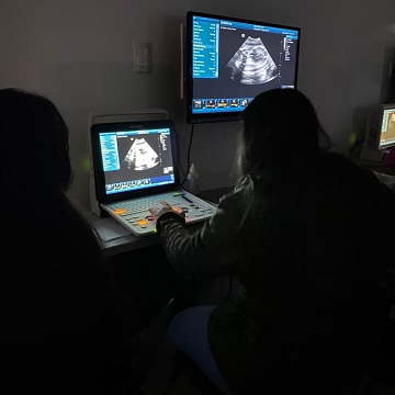 Imagem harmônica no ultrassom veterinário