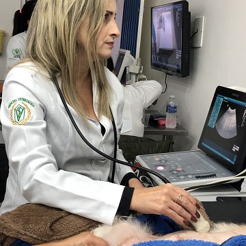 Elastografia: conheça esse diferencial para a ultrassonografia veterinária
